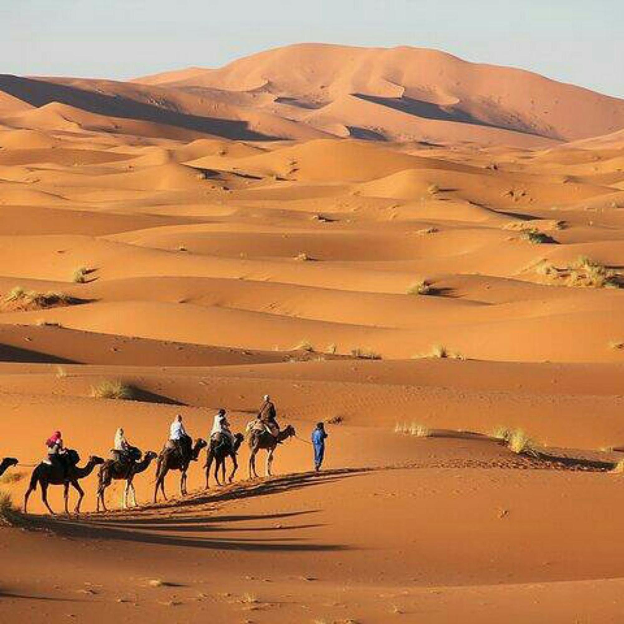 Best Desert Luxury Camp メルズーガ エクステリア 写真